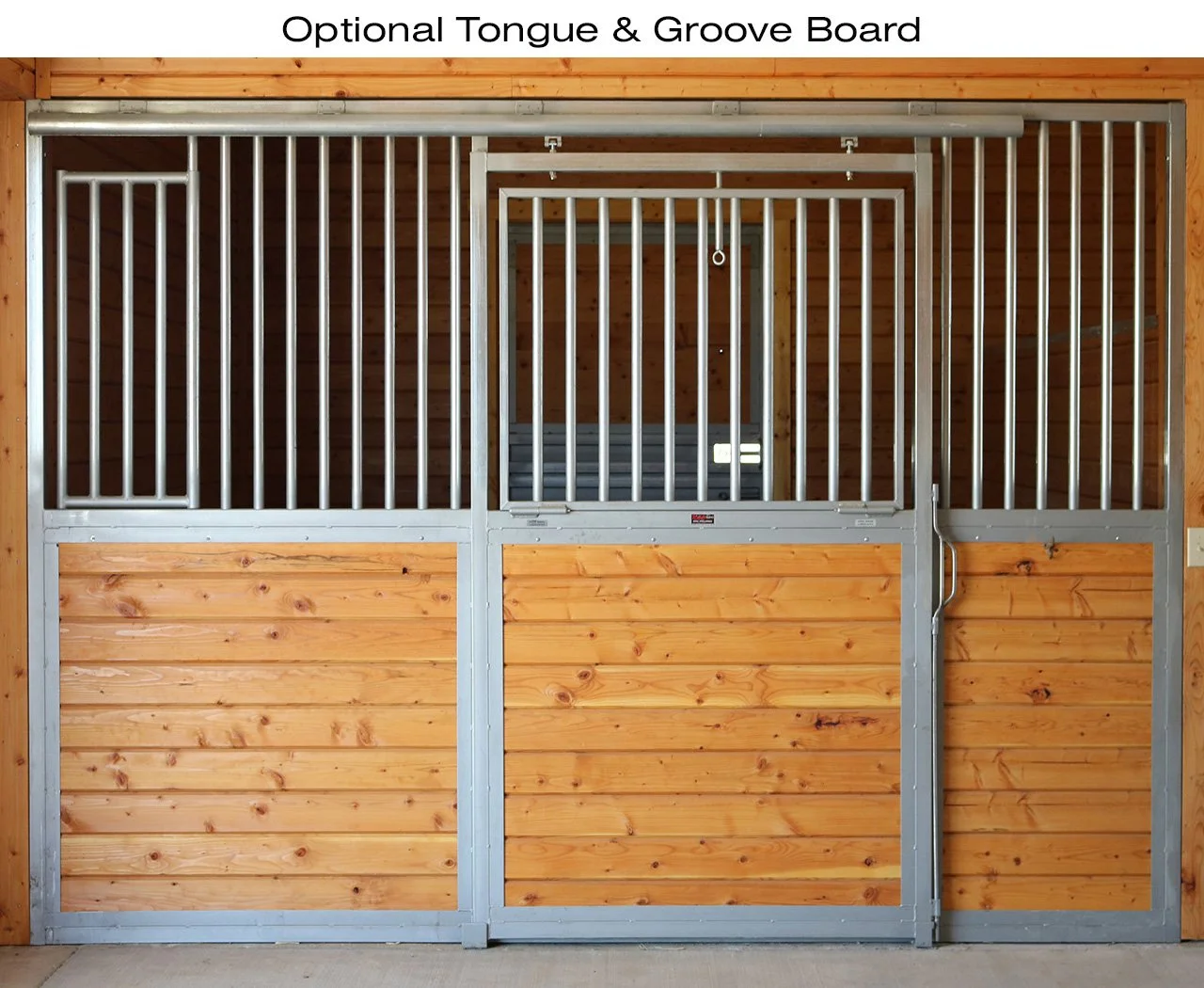 3-ADD OPTIONS T&G BOARD with title copy.jpg