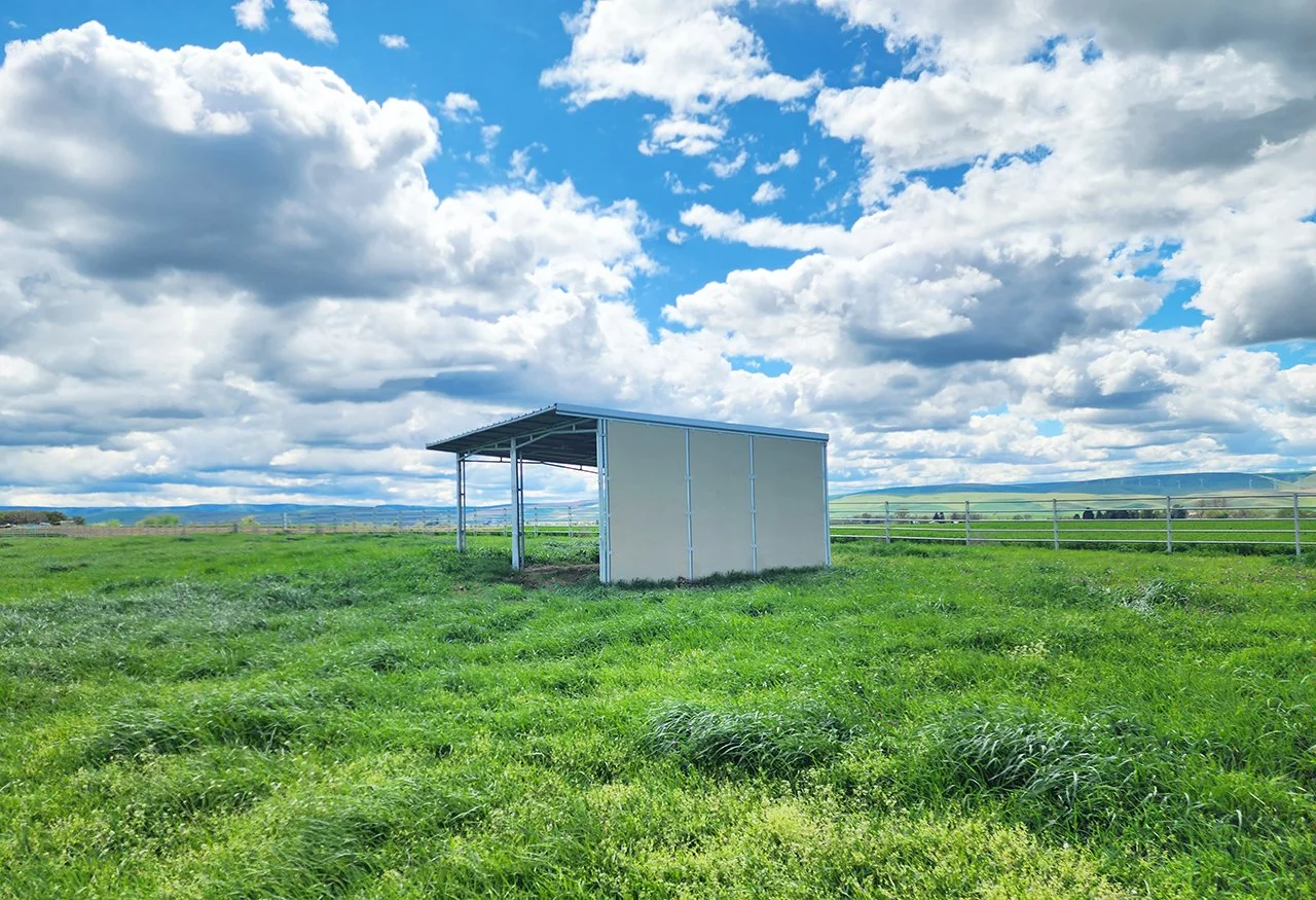 12X24 LOAFING SHED A13 875.jpg