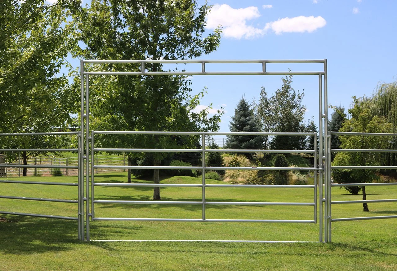 Open metal gate in a green park with trees and grass, clear blue sky with a few clouds.