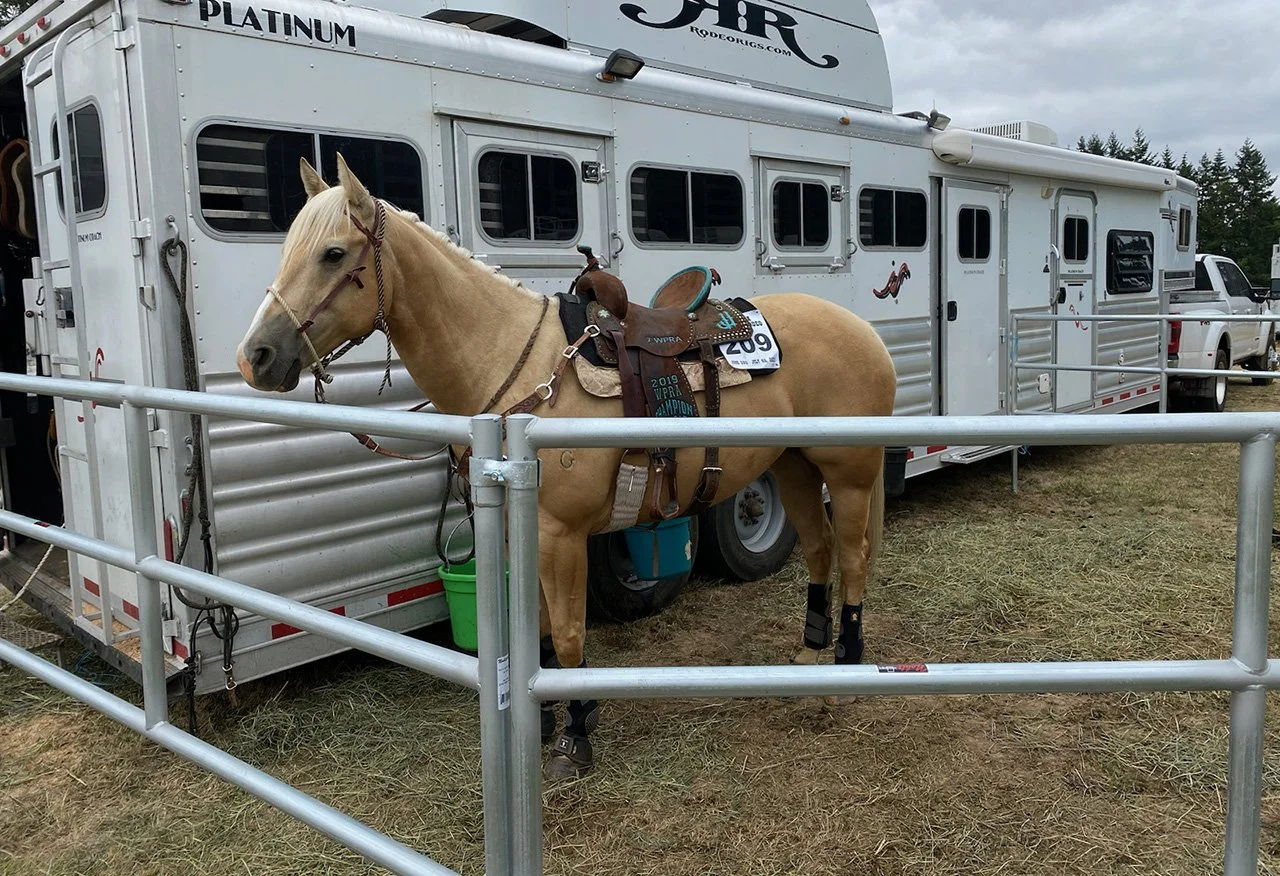 SILVER DRIFTER 875.jpg