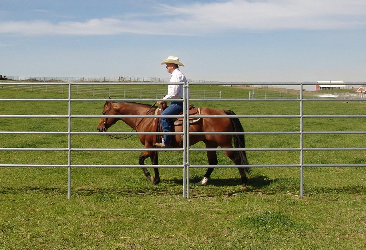 PANELS RAILED 1Y.jpg