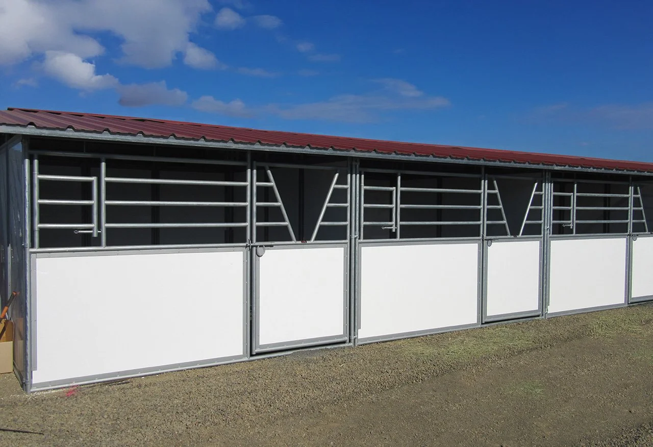 BACK TO BACK SHEDROW VV 875.JPG