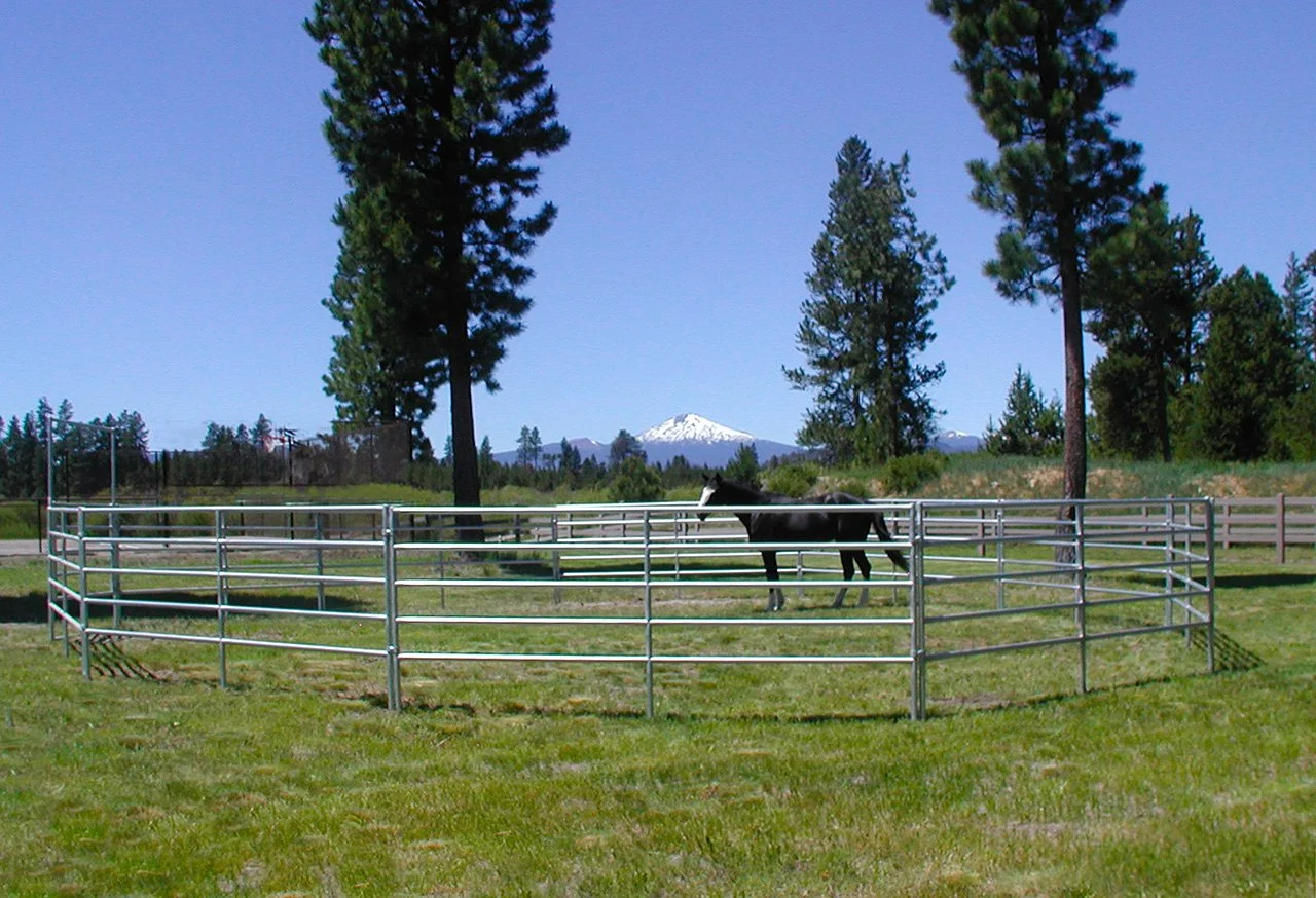 ROUND PEN-RAILED I 875.jpg