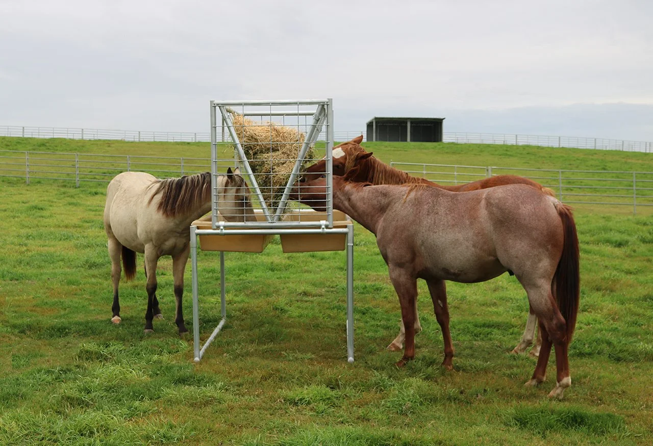 Three horses eating hay from a feeder in a grassy field.
