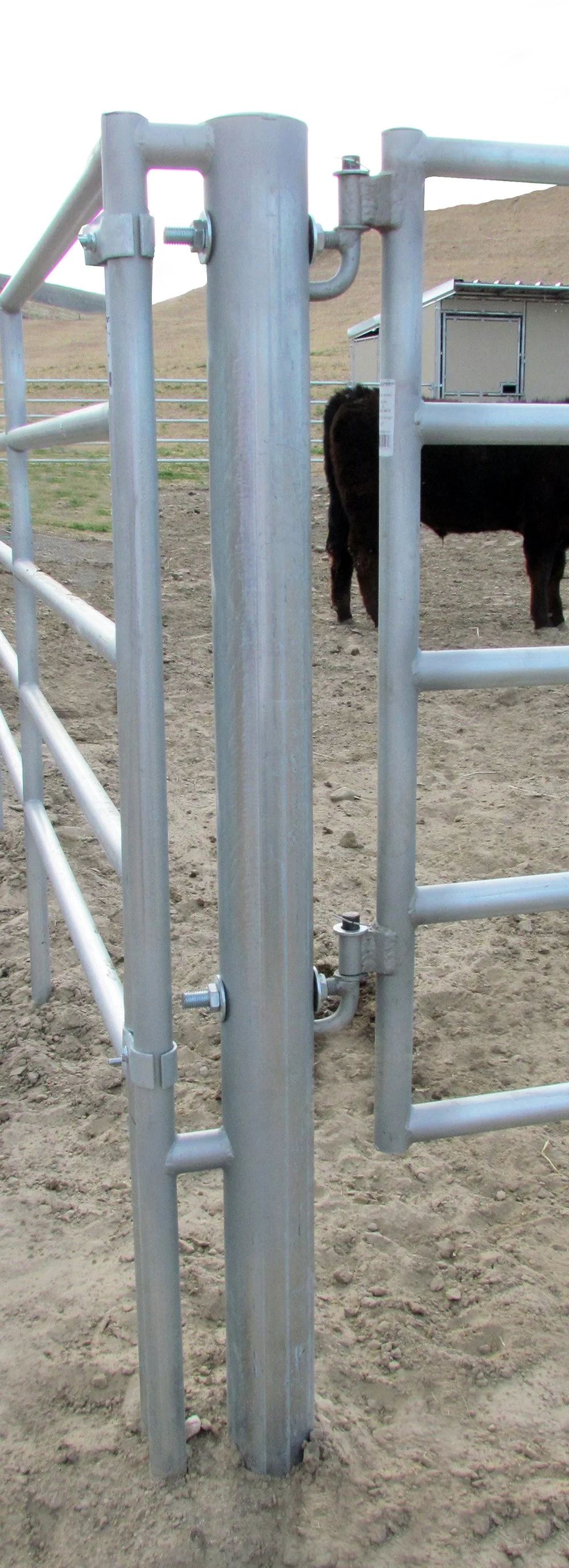 Metal cattle gate with a cow visible behind it on dirt ground, with a hilly landscape and a small building in the background.