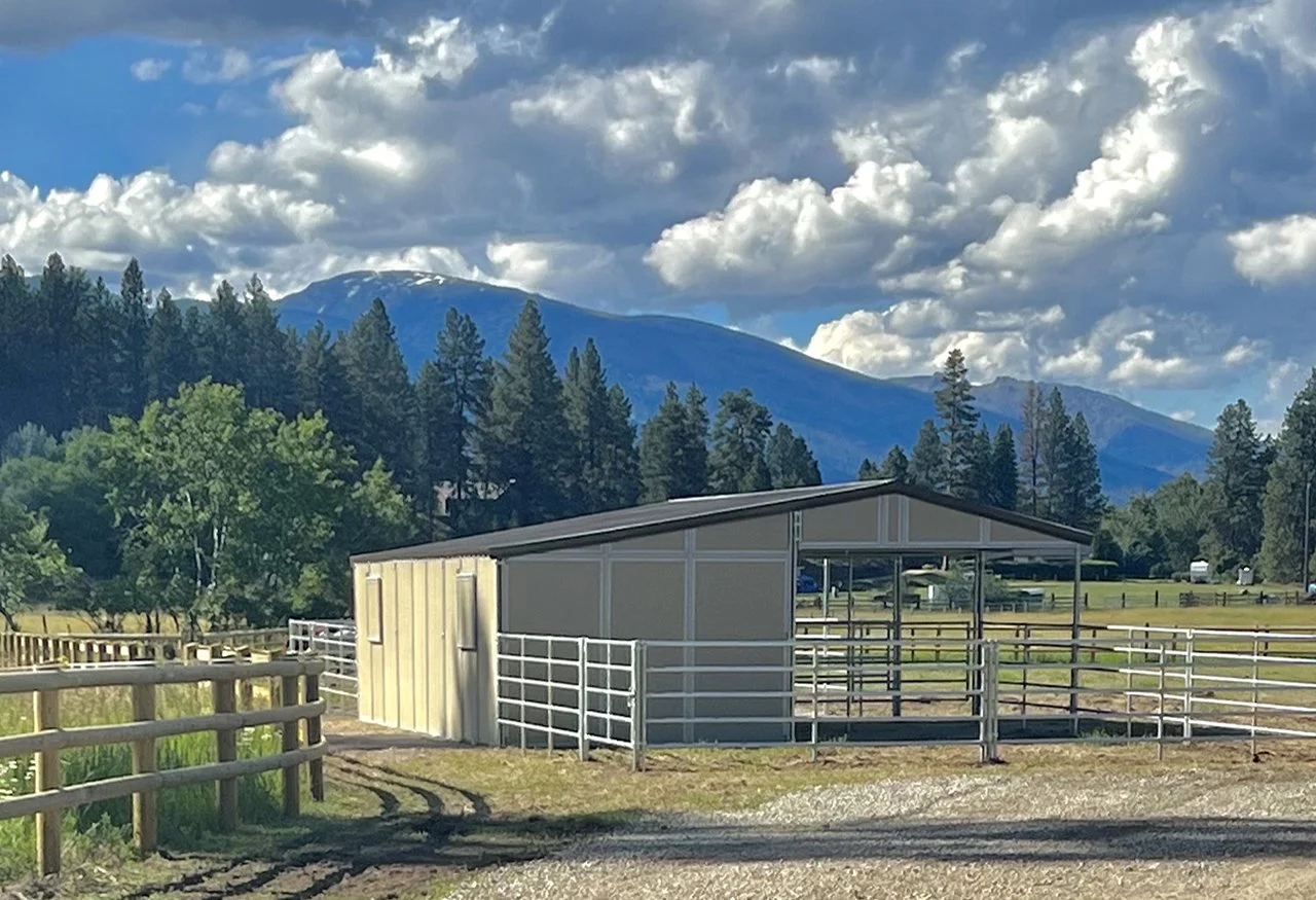 SHEDROW WITH PORCH AAA 875.JPEG