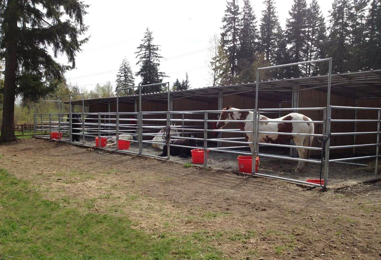 A barn with metal pens containing horses outdoors, with trees in the background and red feed buckets attached to the pens.