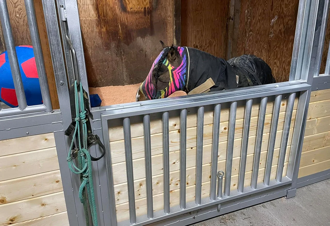 MINIATURE HORSE STALL WITH DROP DOWN.jpg