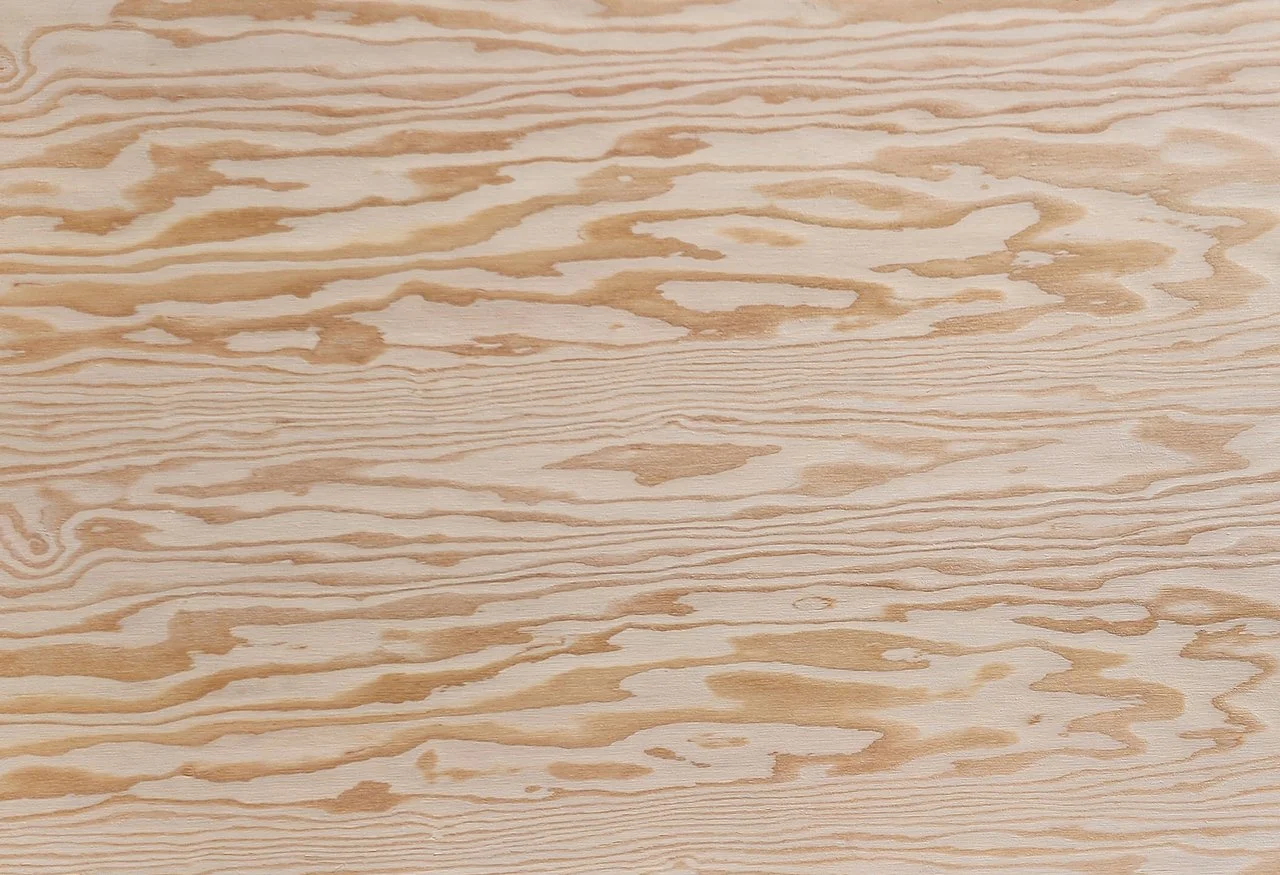 ACX PLYWOOD CLOSE UP 875.jpg