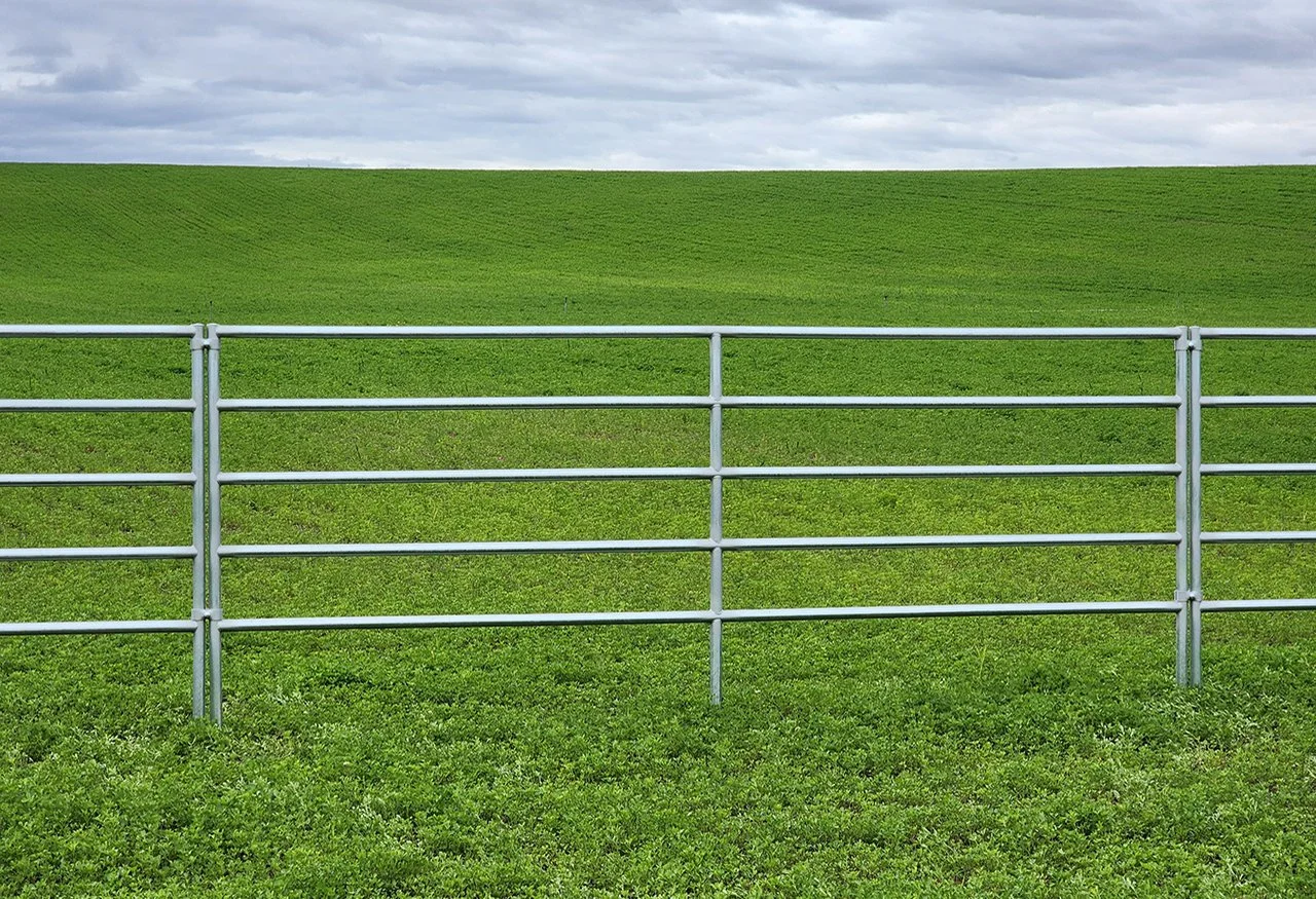 PANELS-RAILED N54Y.jpg
