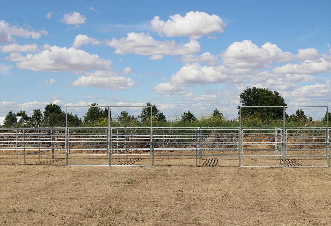Empty metal livestock pens on dirt ground under blue sky with scattered clouds, background trees and bushes.
