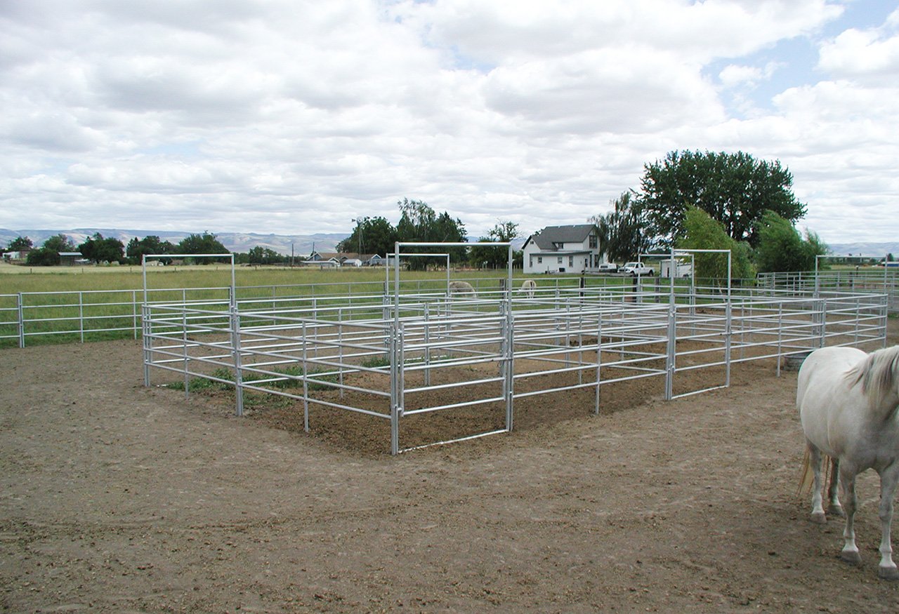 A fenced outdoor arena on a farm with a white horse on the right side and a house with trees in the background under a cloudy sky.