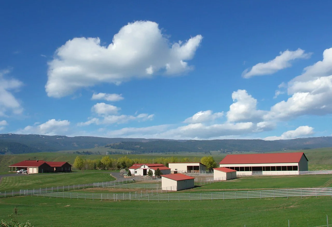 CONTOUR PLM 875 clouds.jpg