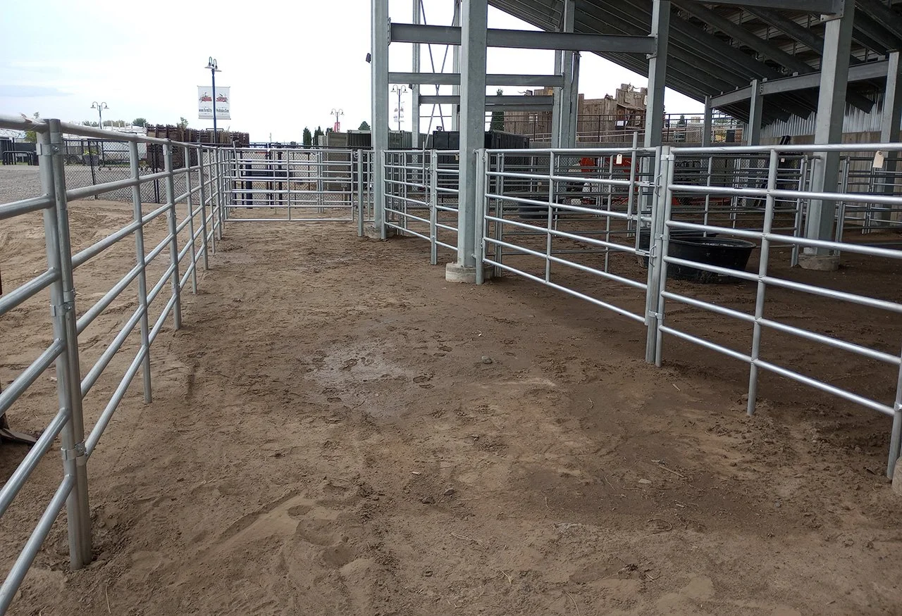 RODEO 26.jpg