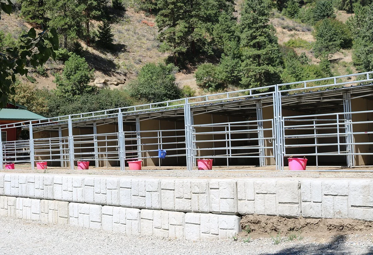 Animal stalls with pink buckets and a blue water bucket in a farm setting, against a backdrop of trees and a hillside.