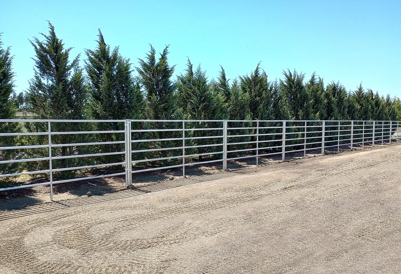 PANELS RAILED 1C.jpg