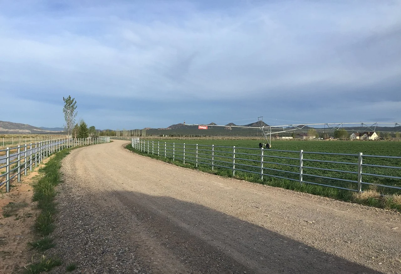 ESTATE FENCING L 875.jpg