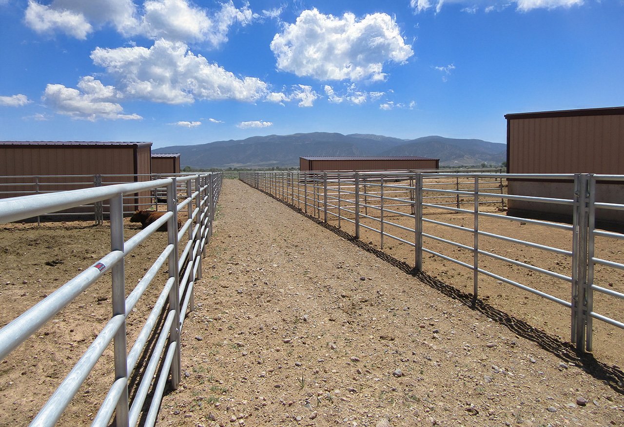 PANELS RAILED 1U.jpg