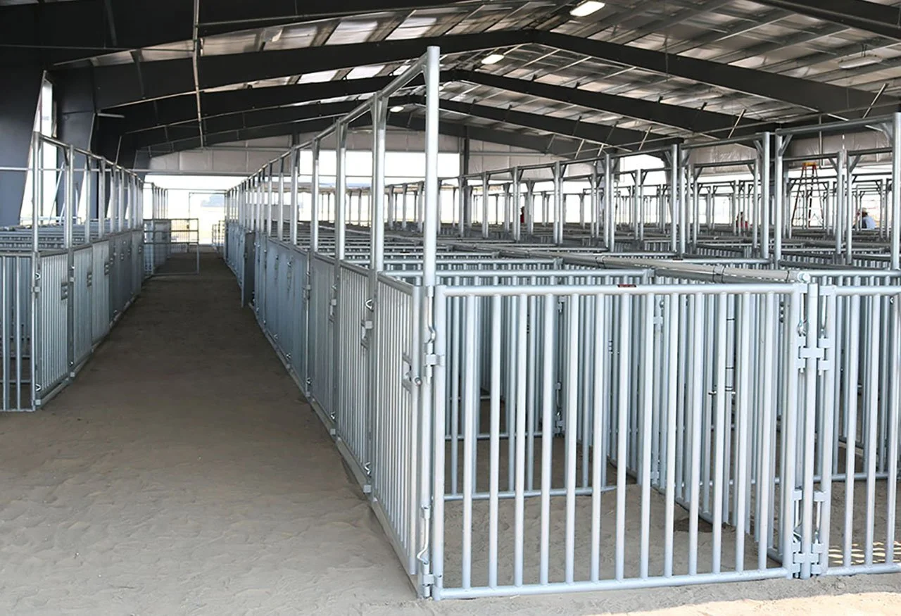 SWINE PANELS 875.jpg