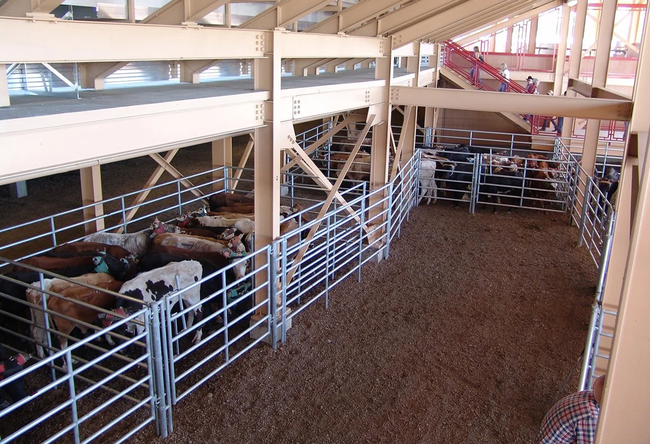 RODEO 66.jpg