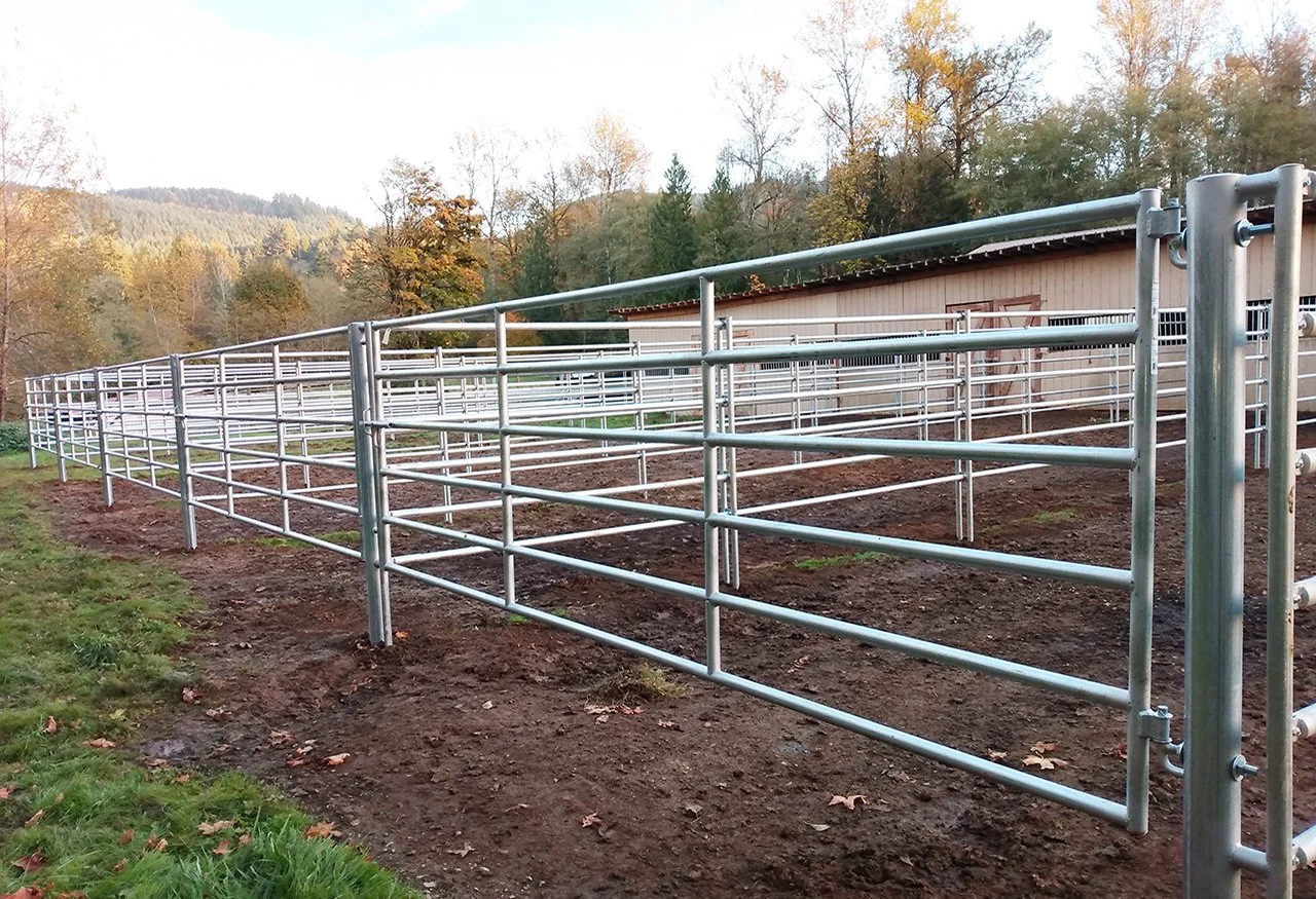 SWING GATES-RAILED 14 875.jpg