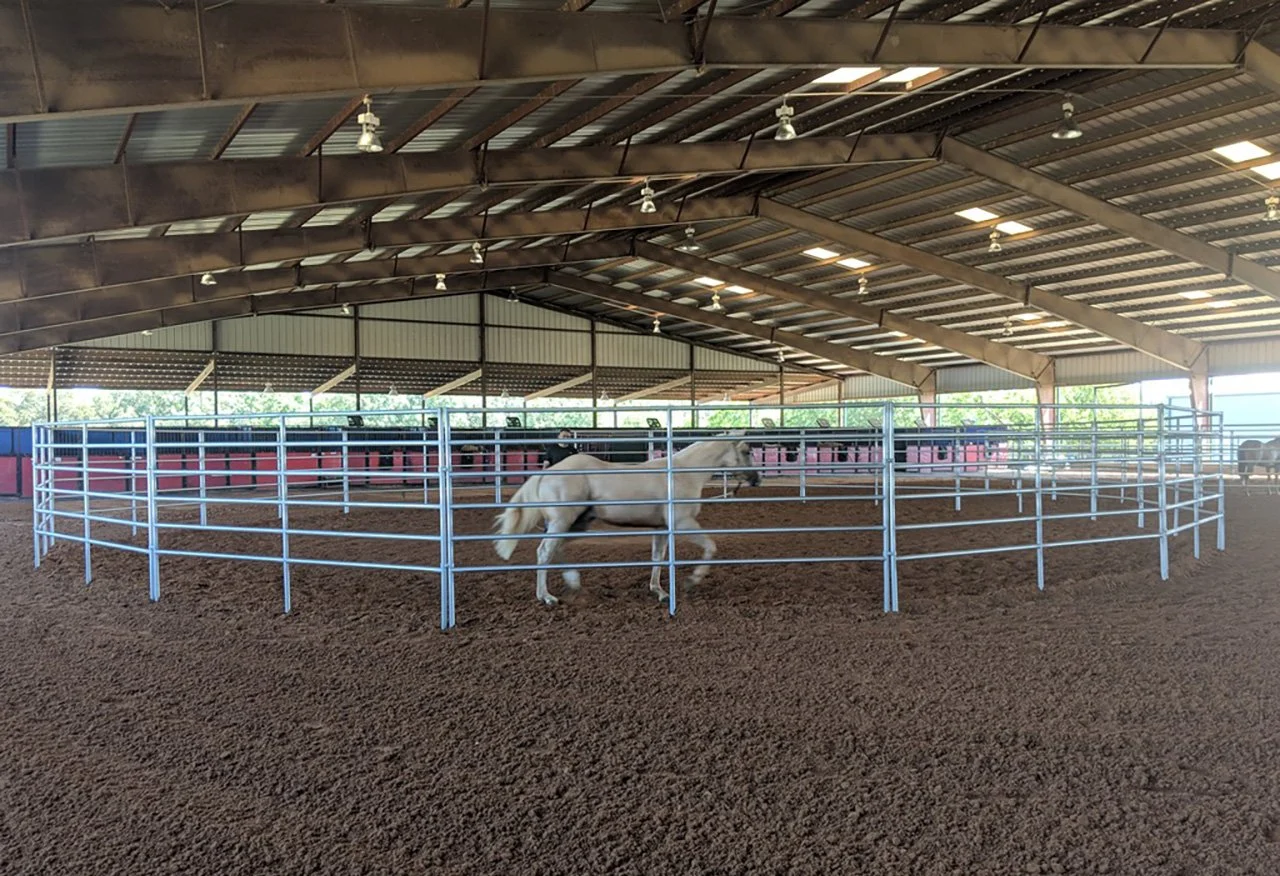 ROUND PEN-RAILED G 875.jpg