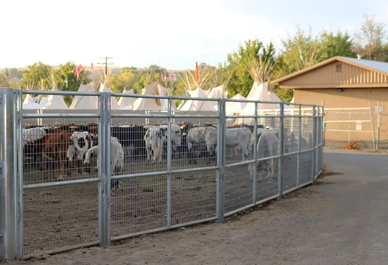 ULTRA MESH LIVESTOCK FENCING D 875.jpg