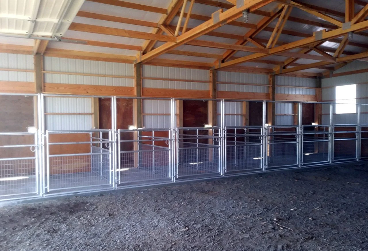 SMALL ANIMAL ULTRA MESH A 875.jpg