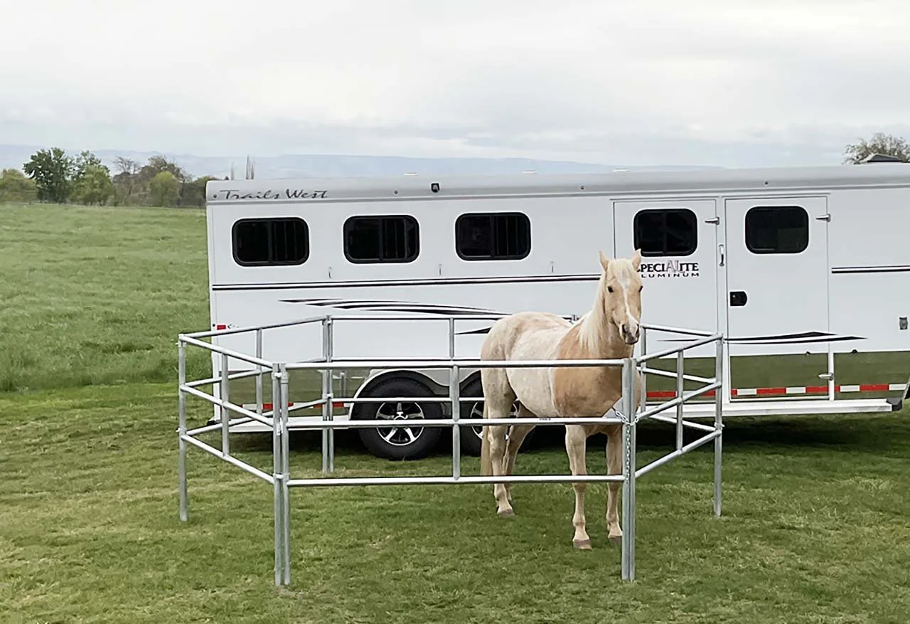 SILVER DRIFTER EDITED 875.jpg