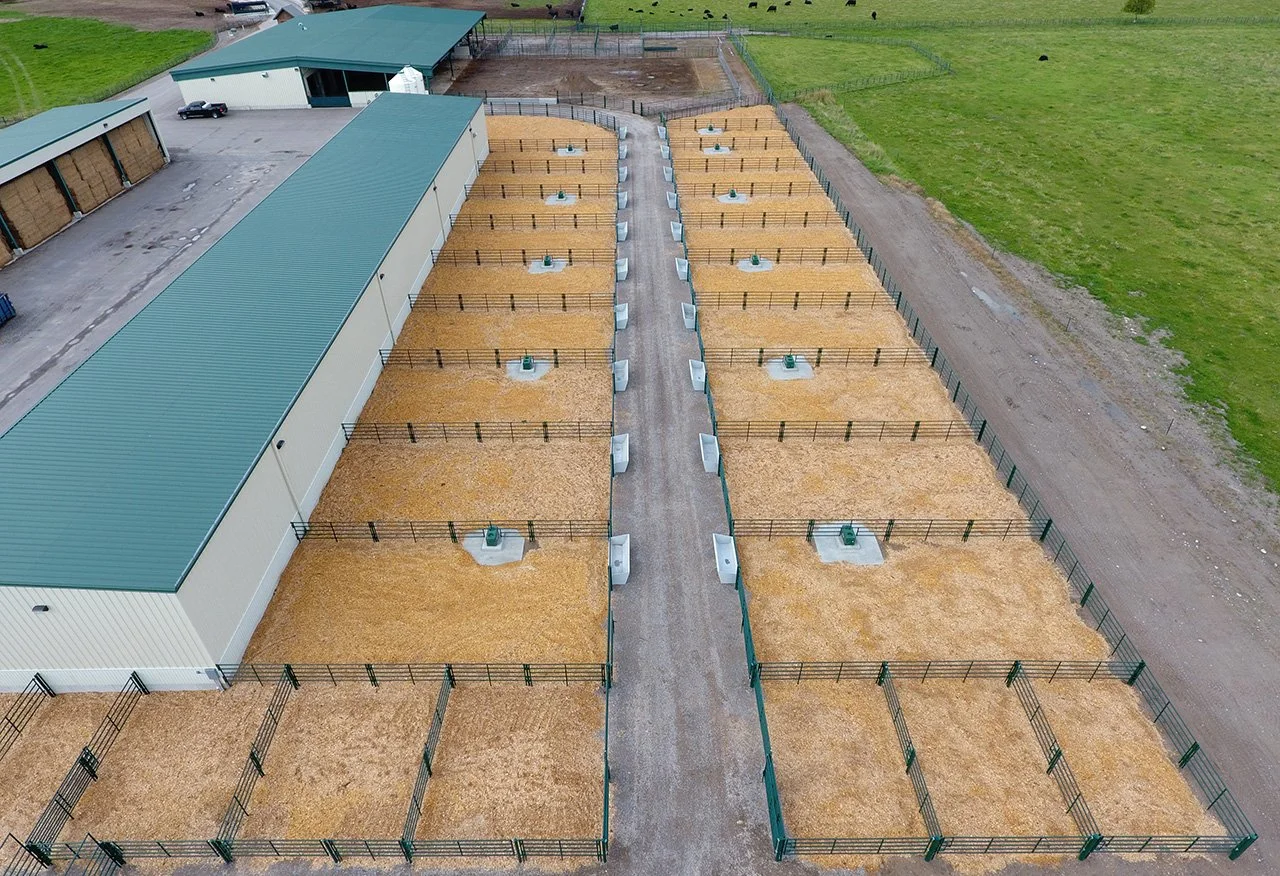 PANELS RAILED 1V.jpg
