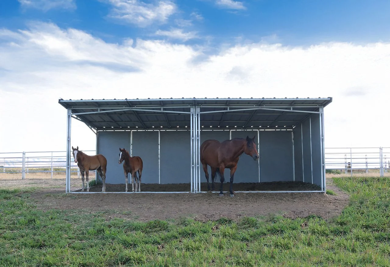 12X24 LOAFING SHED D 875.jpg