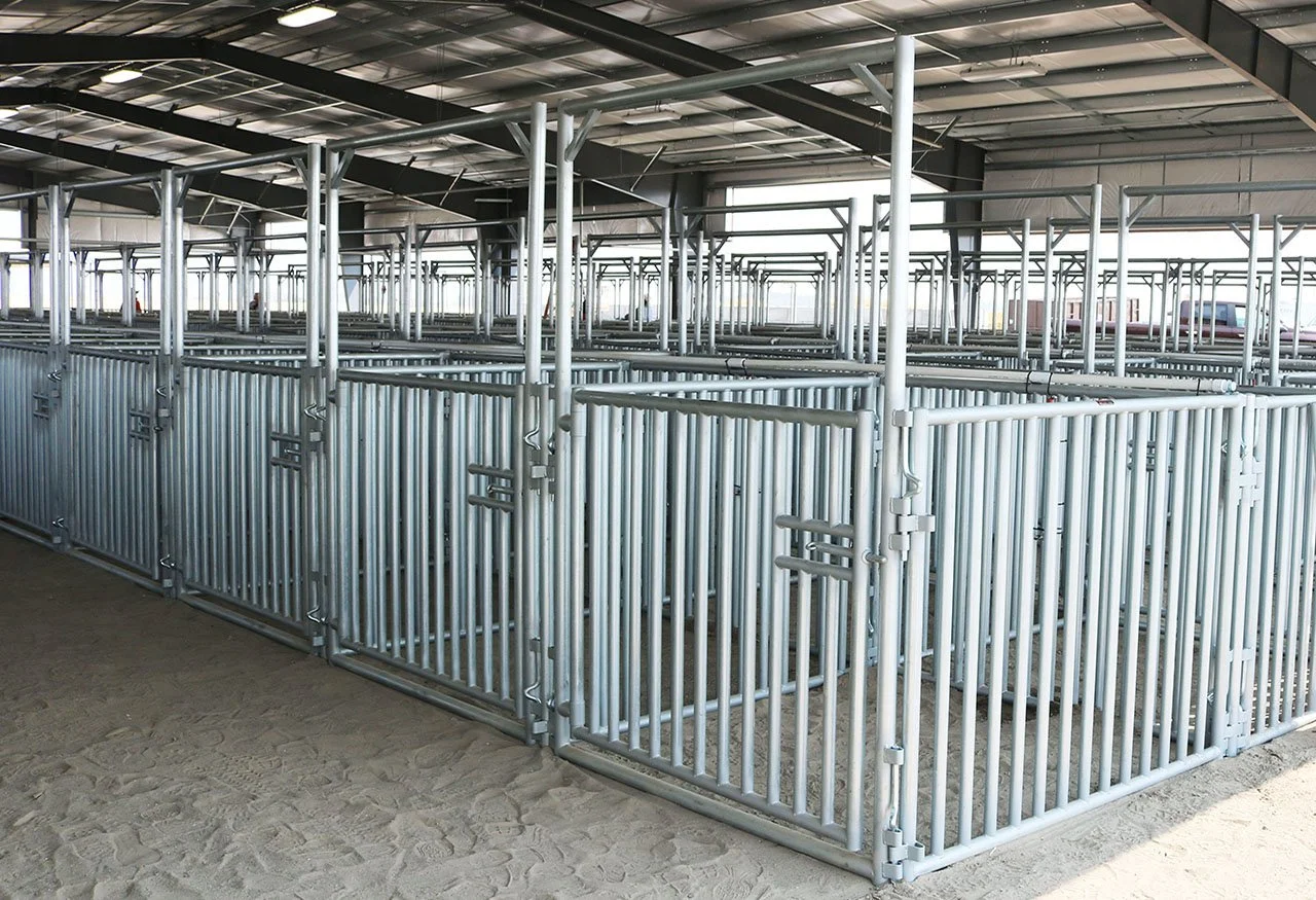 SWINE PANELS A 875.jpg