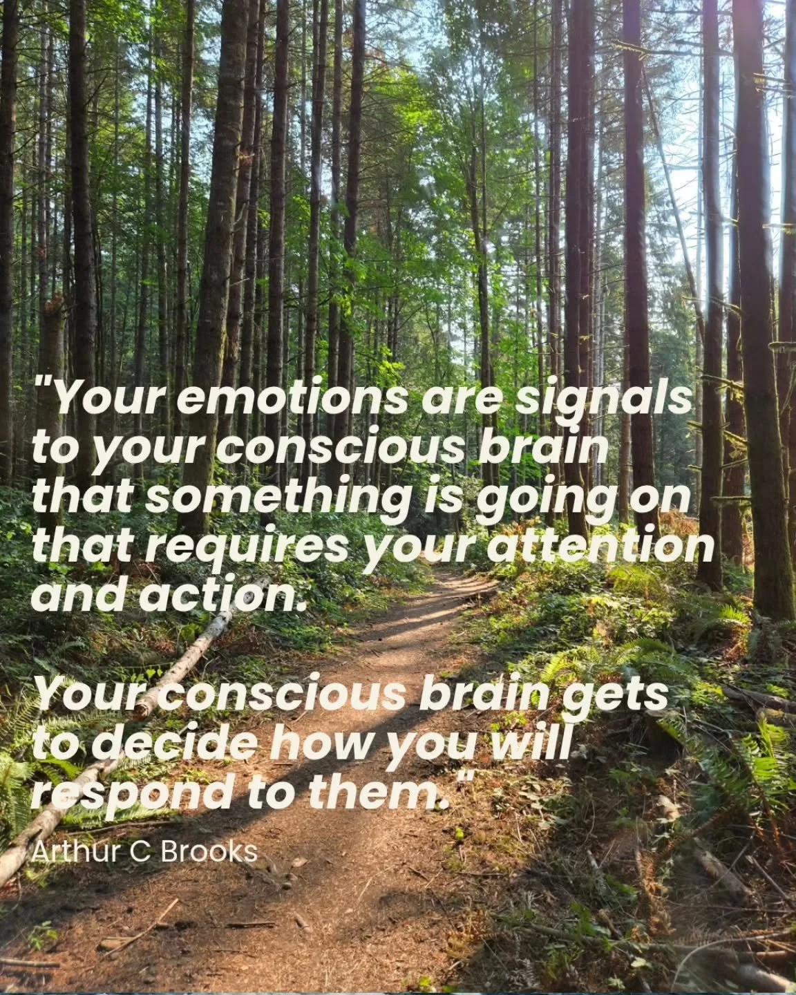 Emotions aren&rsquo;t good or bad, they&rsquo;re signals. The real skill is noticing them and choosing how to respond in a way that serves you. That&rsquo;s where growth happens.

Want to build your own mental skills toolkit? DM me to get started.