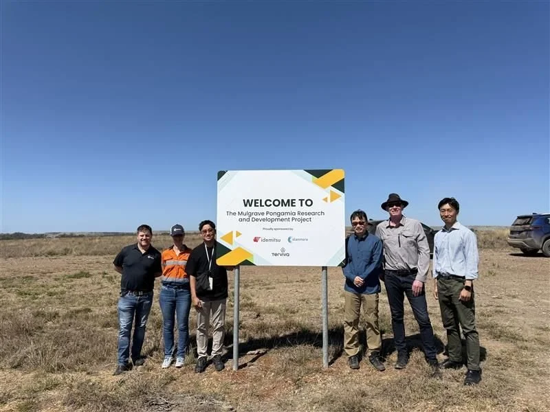 Sumitomo joins the Mulgrave Pongamia Project