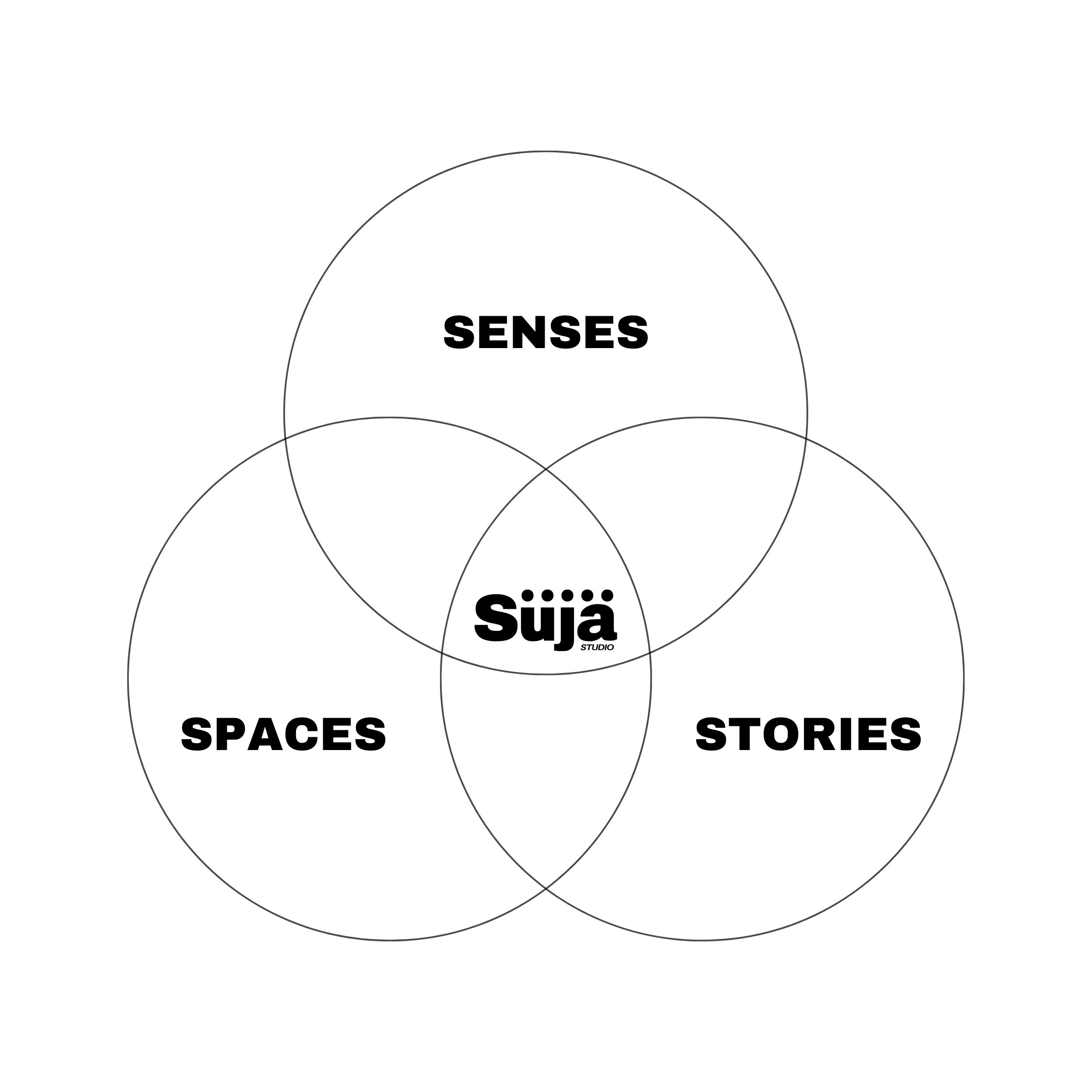 Venn diagram with four overlapping circles labeled 'SENSES,' 'SPACES,' 'STORIES,' and 'Süjā,' indicating their intersection.
