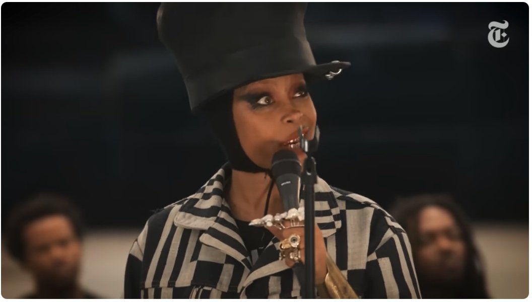 Erykah Badu at The New York Times