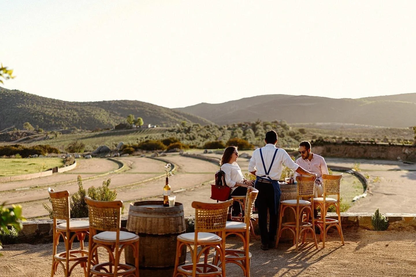 Valle de Guadalupe vs. Napa y Temecula: ¿cuánto cuesta visitar una vinícola en 2026?