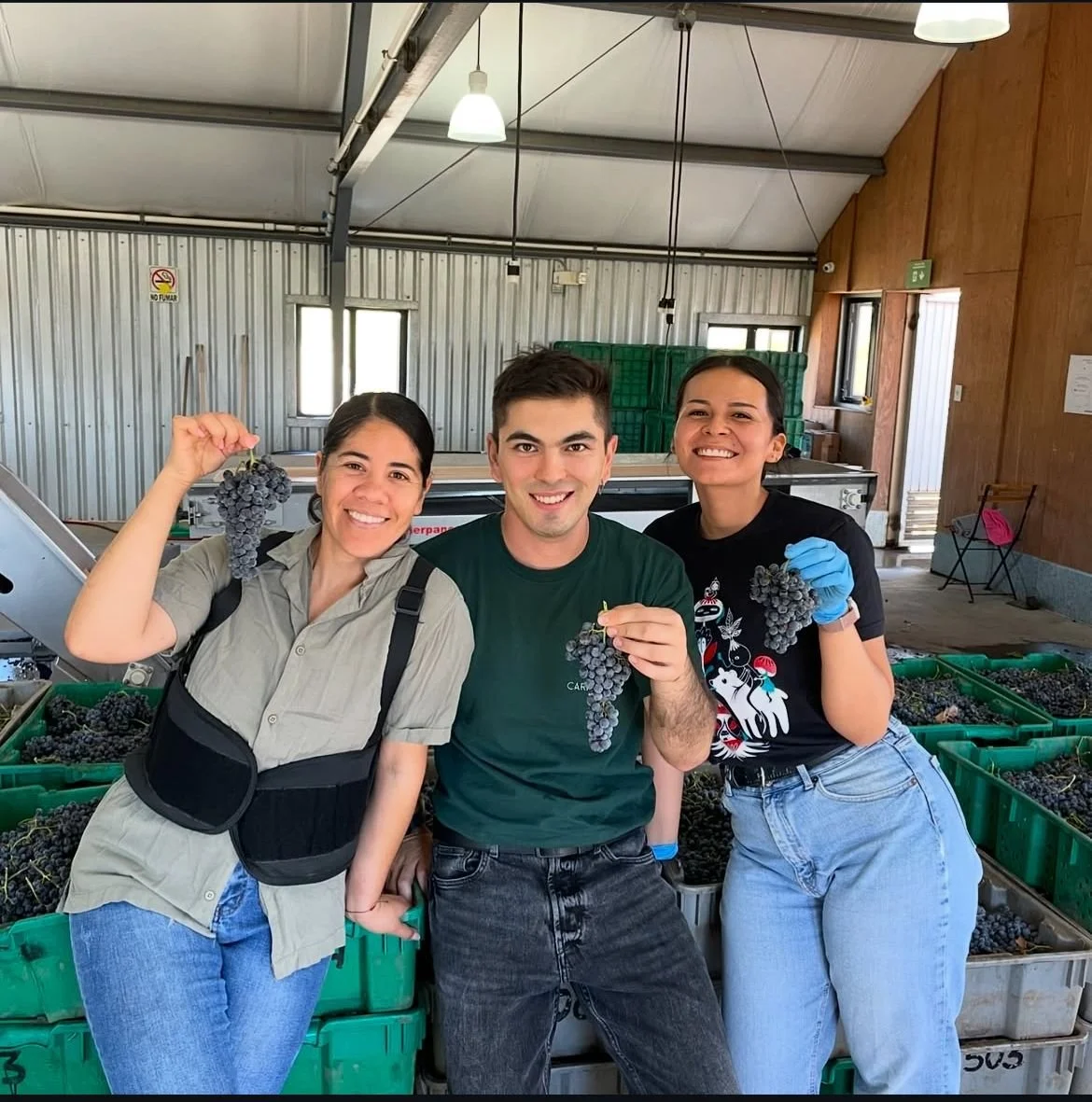 WhatsApp Image 2025-06-17 at 22.14.49.jpeg