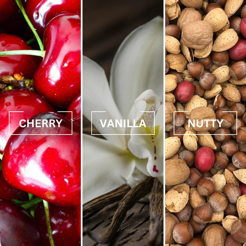 Untitled design (35).png