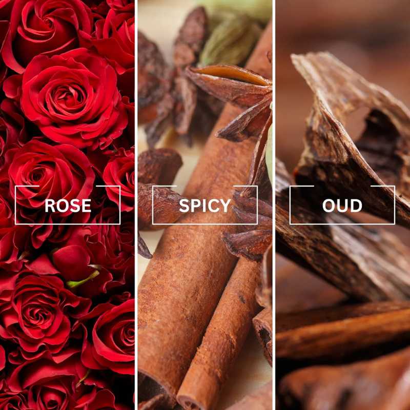 Untitled design (55).png