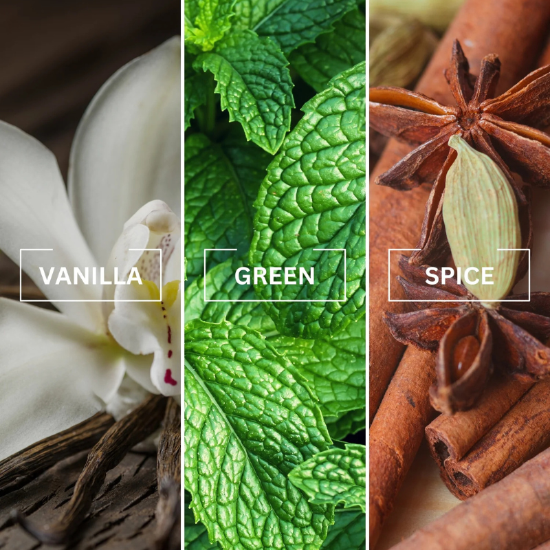 Untitled design (48).png