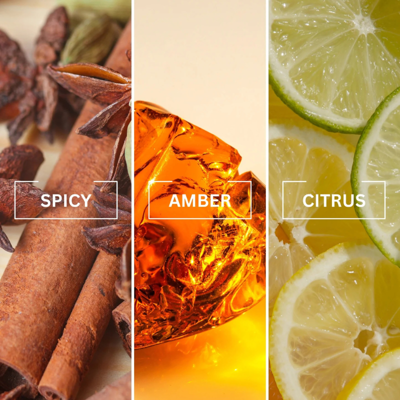 Untitled design (69).png