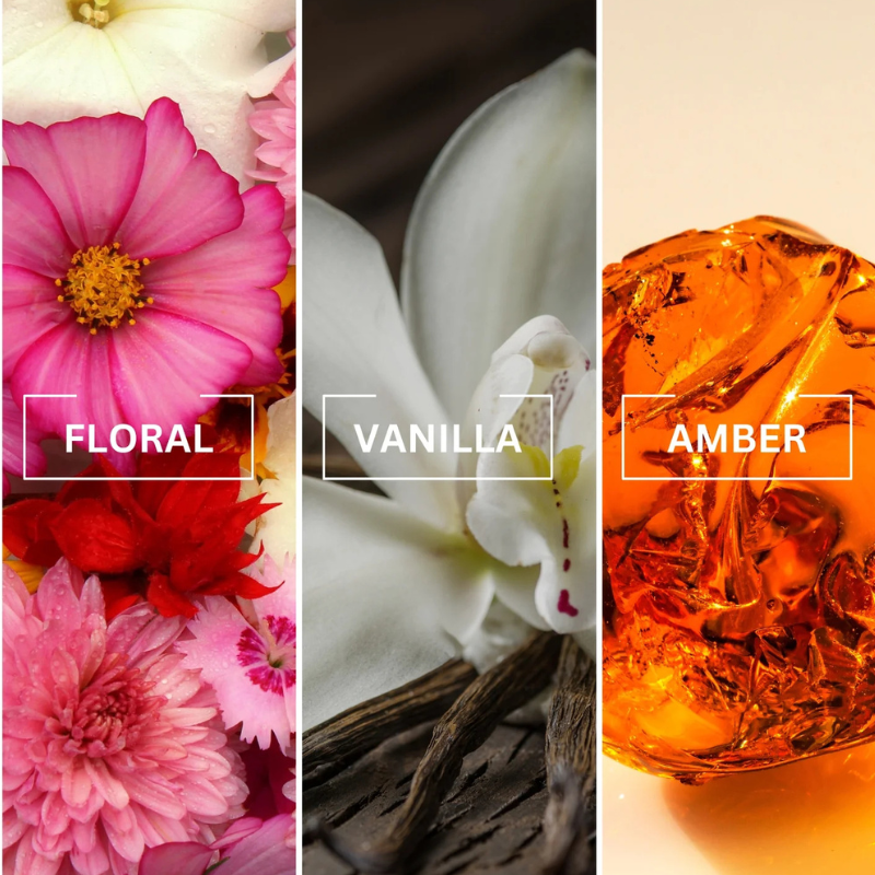 Untitled design (43).png