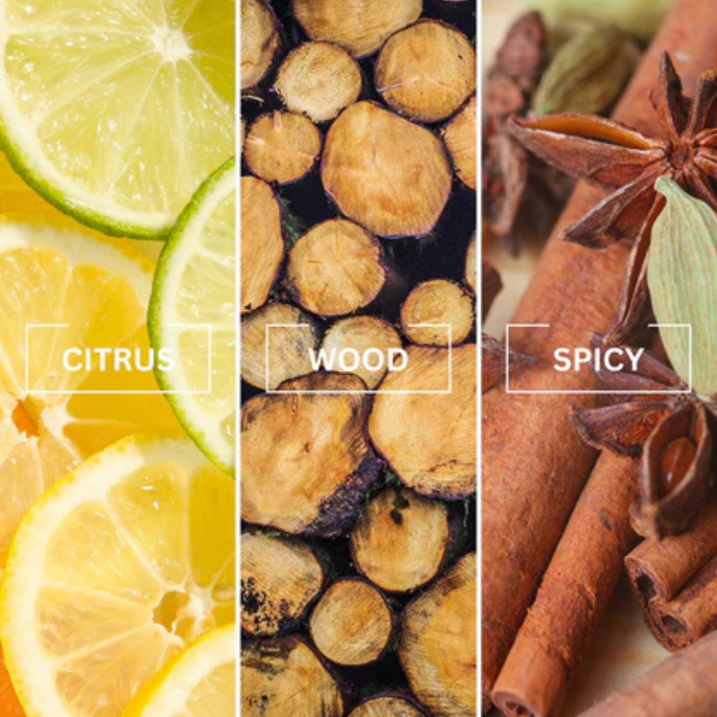 Untitled design (66).png