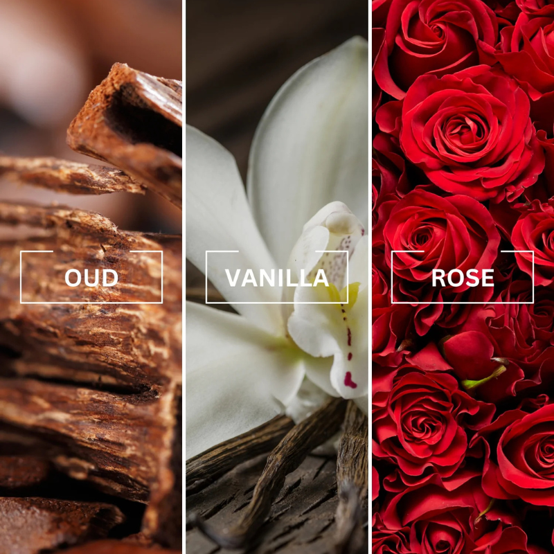 Untitled design (47).png