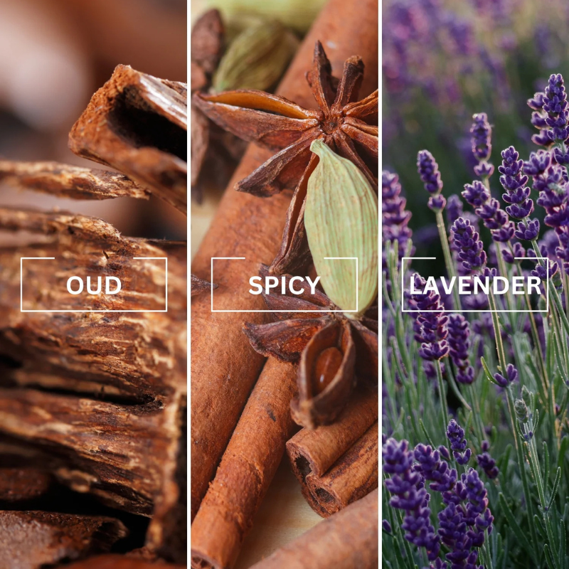 Untitled design (59).png