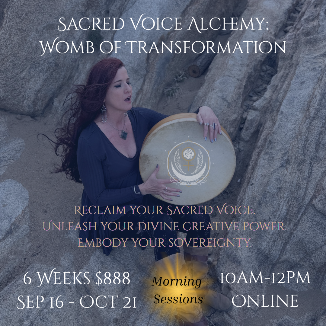 SVA Womb AM Sessions.png