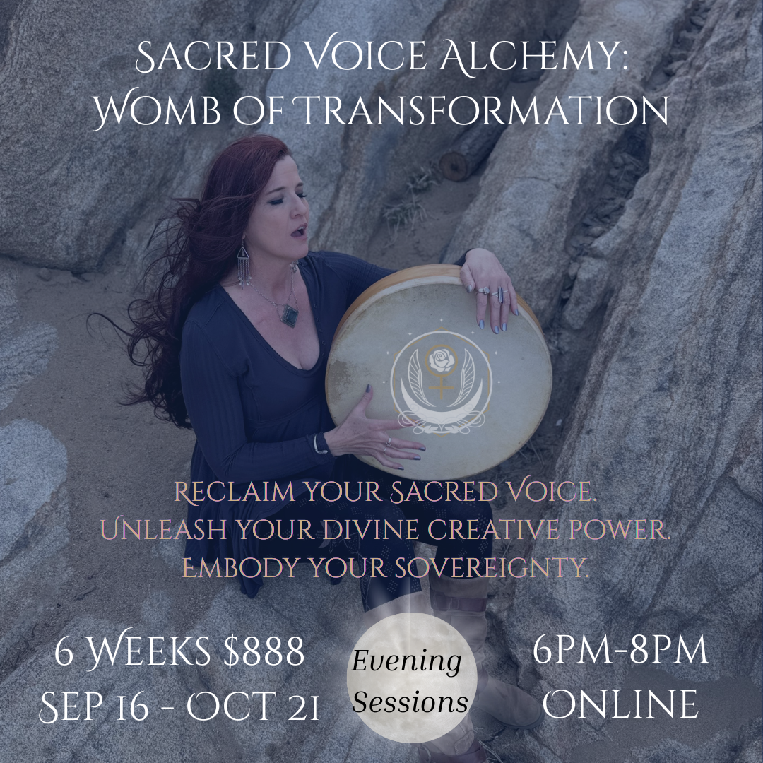 SVA Womb PM Sessions.png