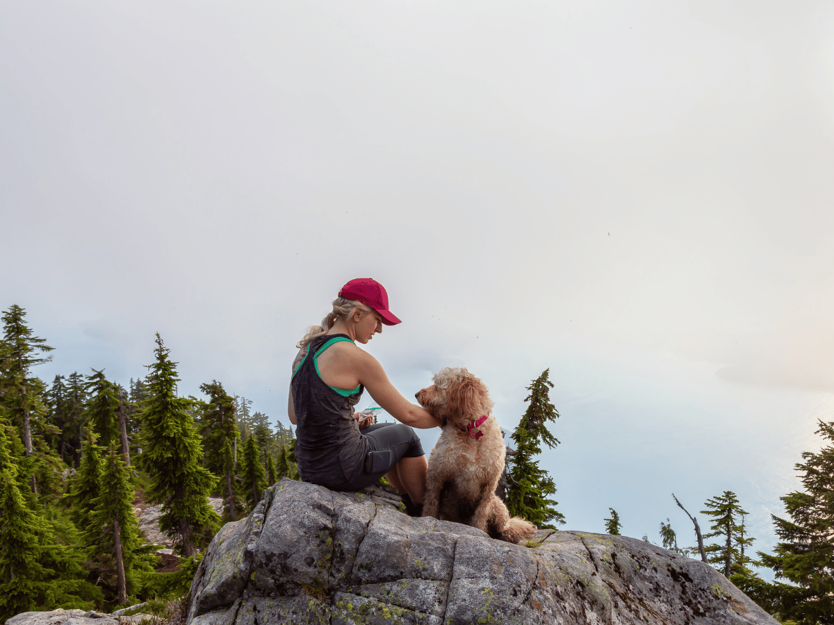 Professional Dog Hiking Service Across Suffolk County - Boston Dog Butlers