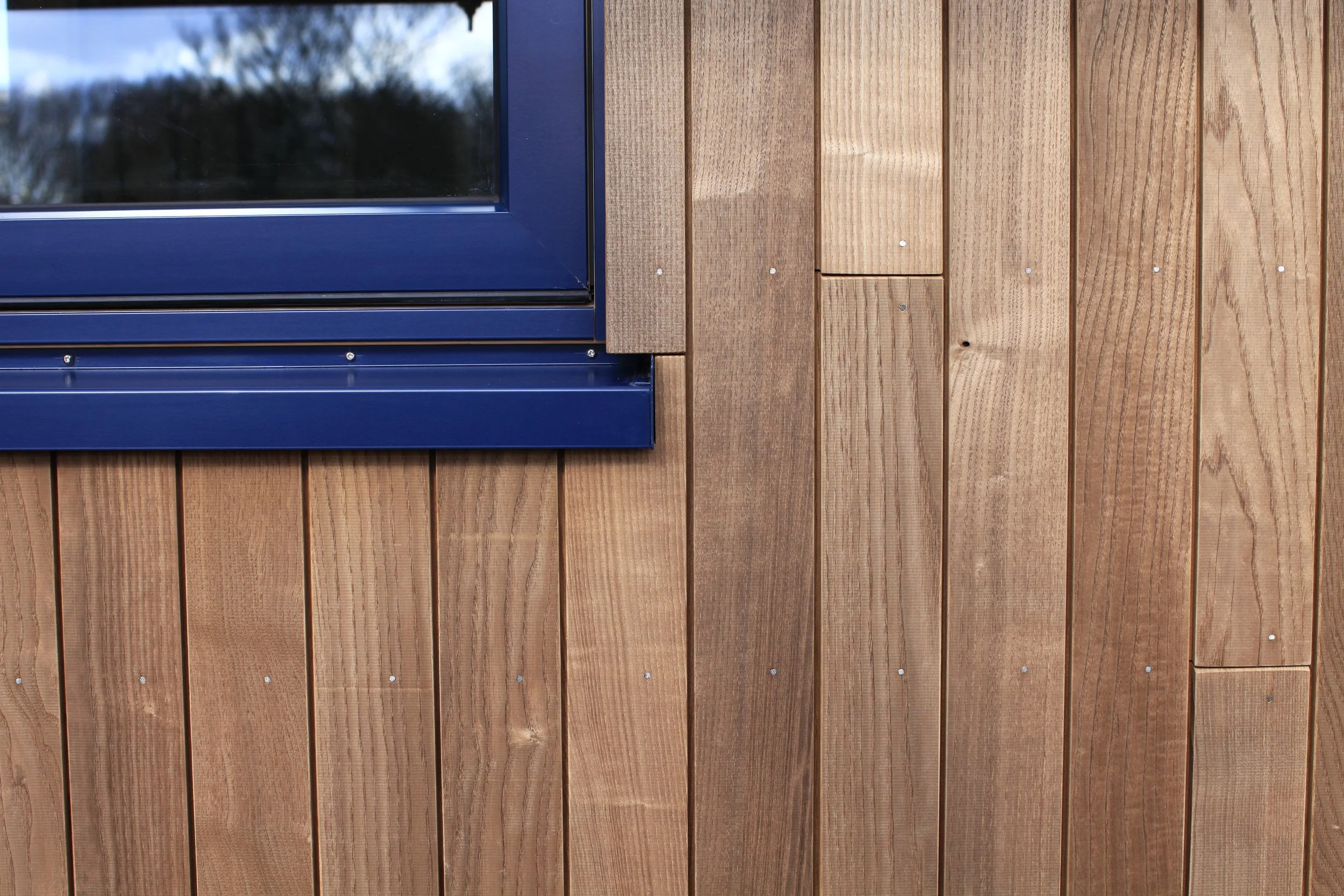 Close-up of a wooden exterior wall with vertical planks of Brimstone Ash cladding and a corner of a window with a deep blue frame.